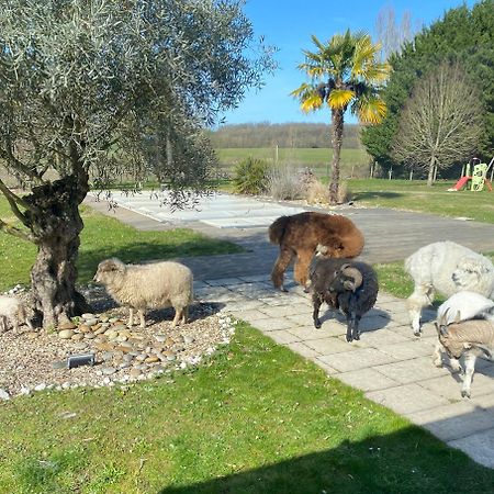 Le Truc Bidule Otel Murs  Dış mekan fotoğraf